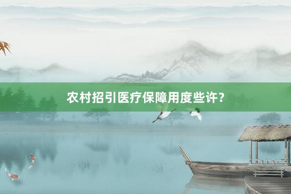 农村招引医疗保障用度些许？