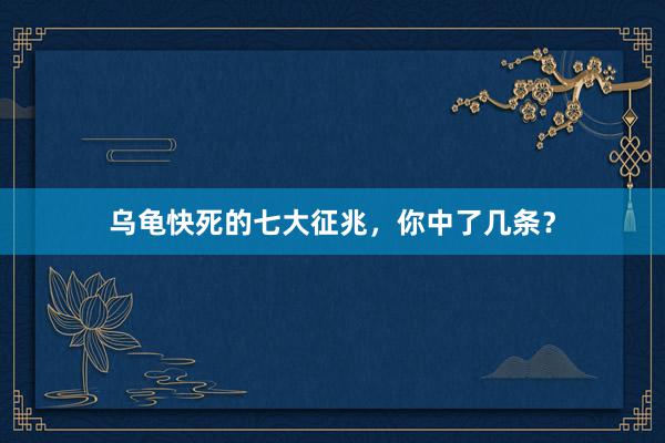 乌龟快死的七大征兆，你中了几条？