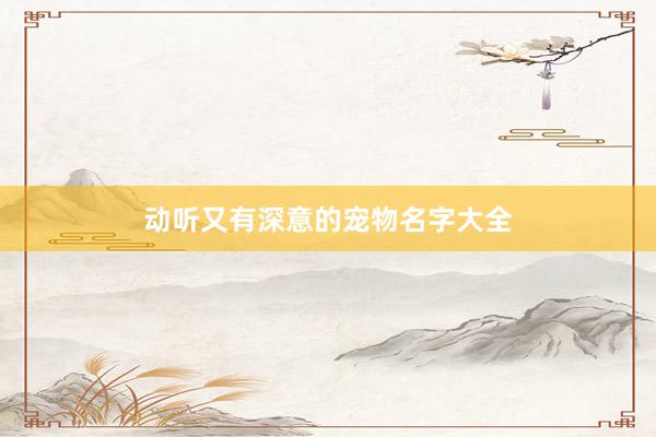 动听又有深意的宠物名字大全