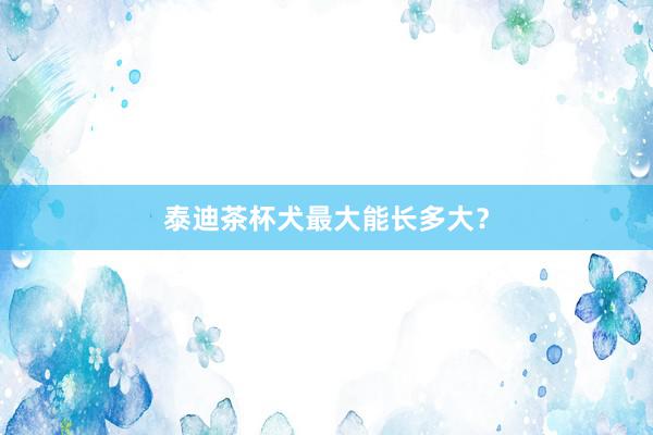 泰迪茶杯犬最大能长多大？