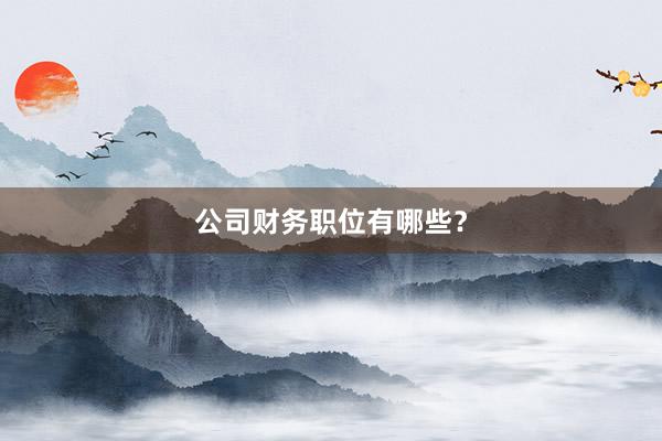 公司财务职位有哪些？